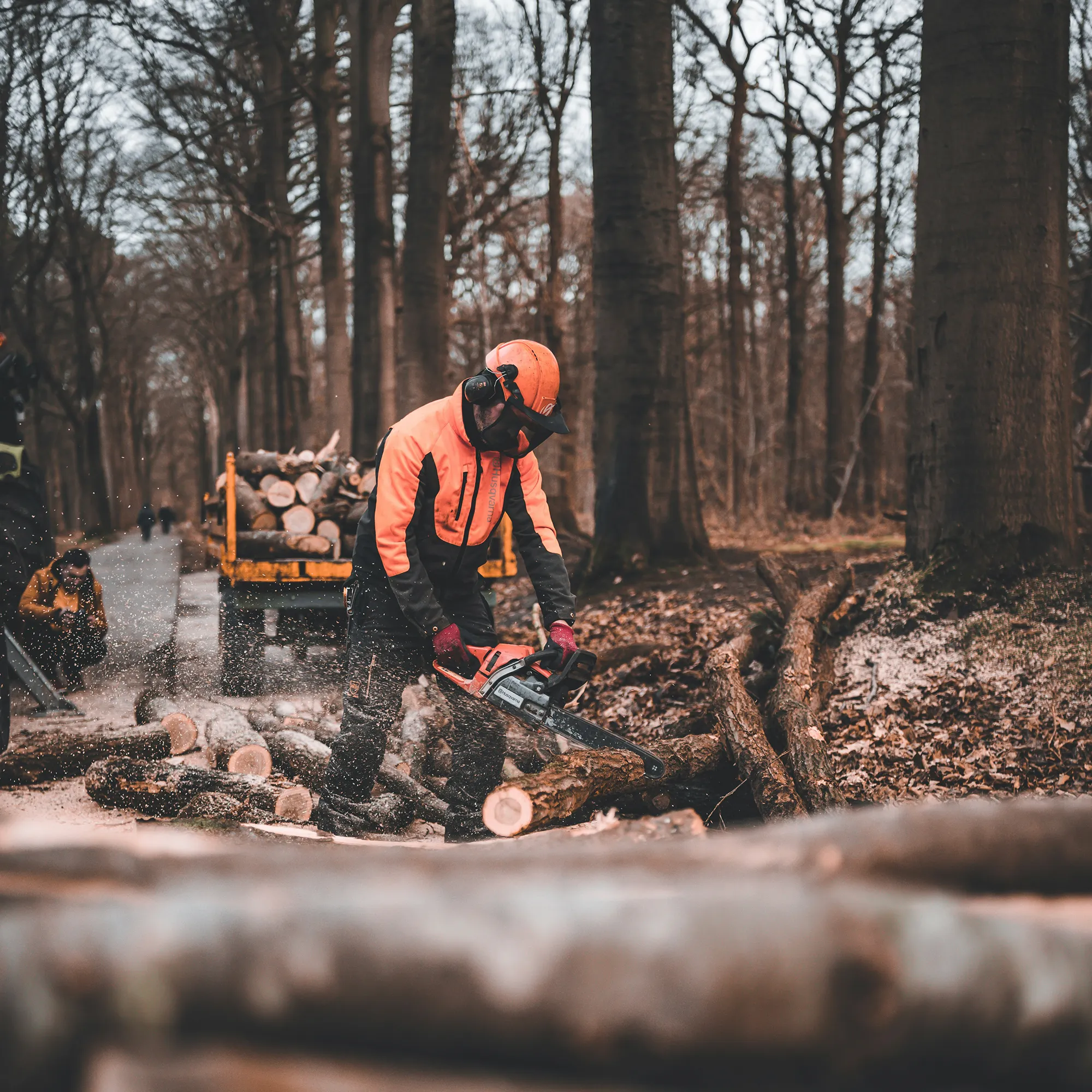 Tbe-firmavaccination